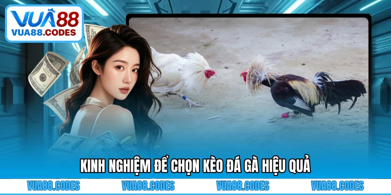 Kinh nghiệm để chọn kèo đá gà hiệu quả