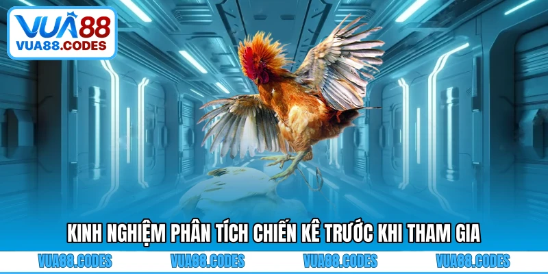 Kinh nghiệm phân tích chiến kê trước khi tham gia