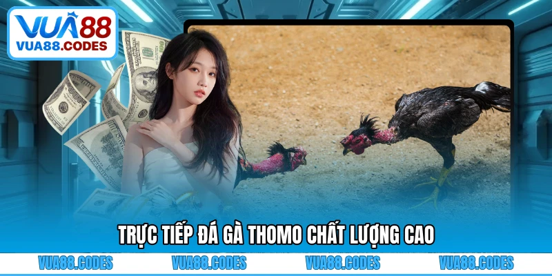 Trực tiếp đá gà Thomo chất lượng cao